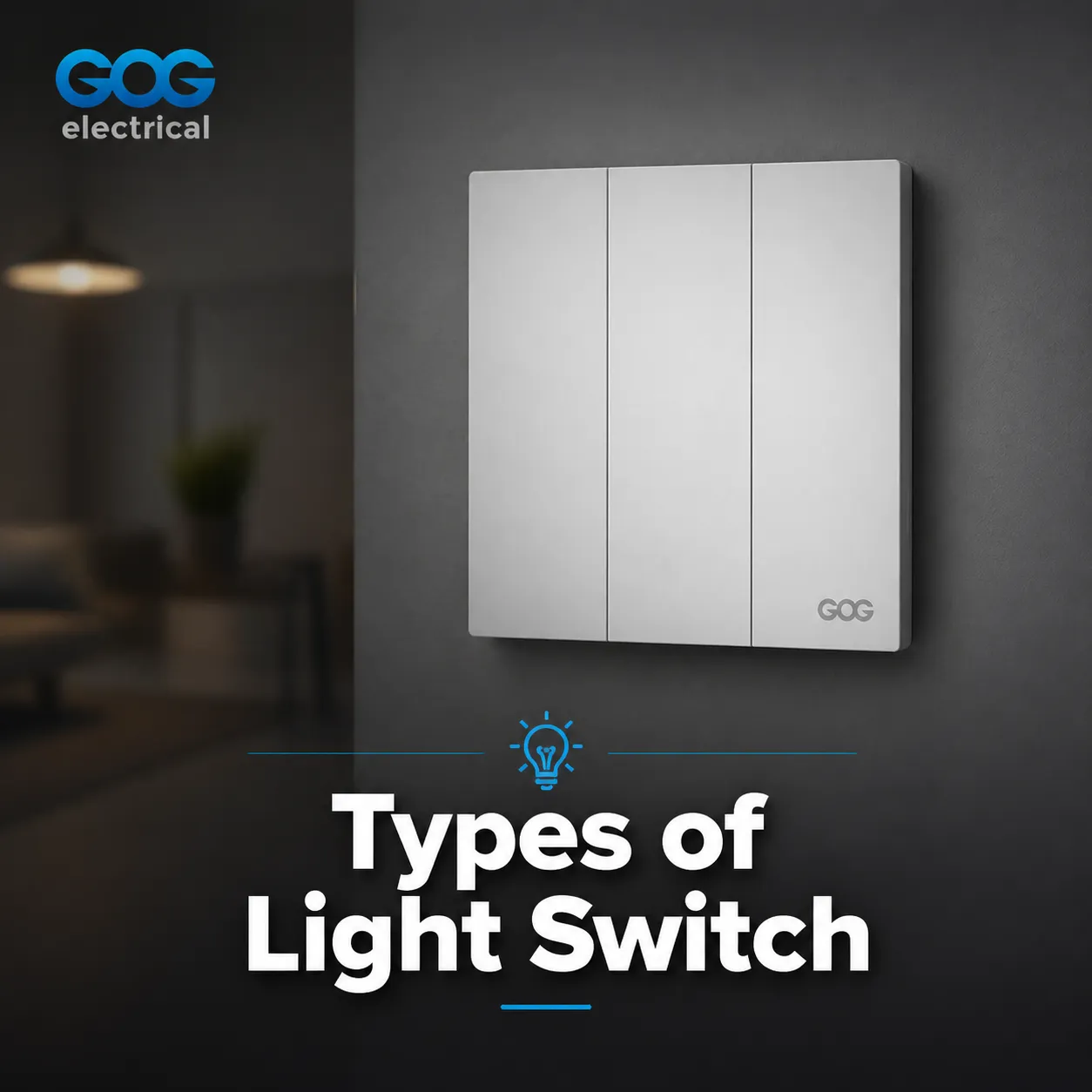 Types of Light Switch