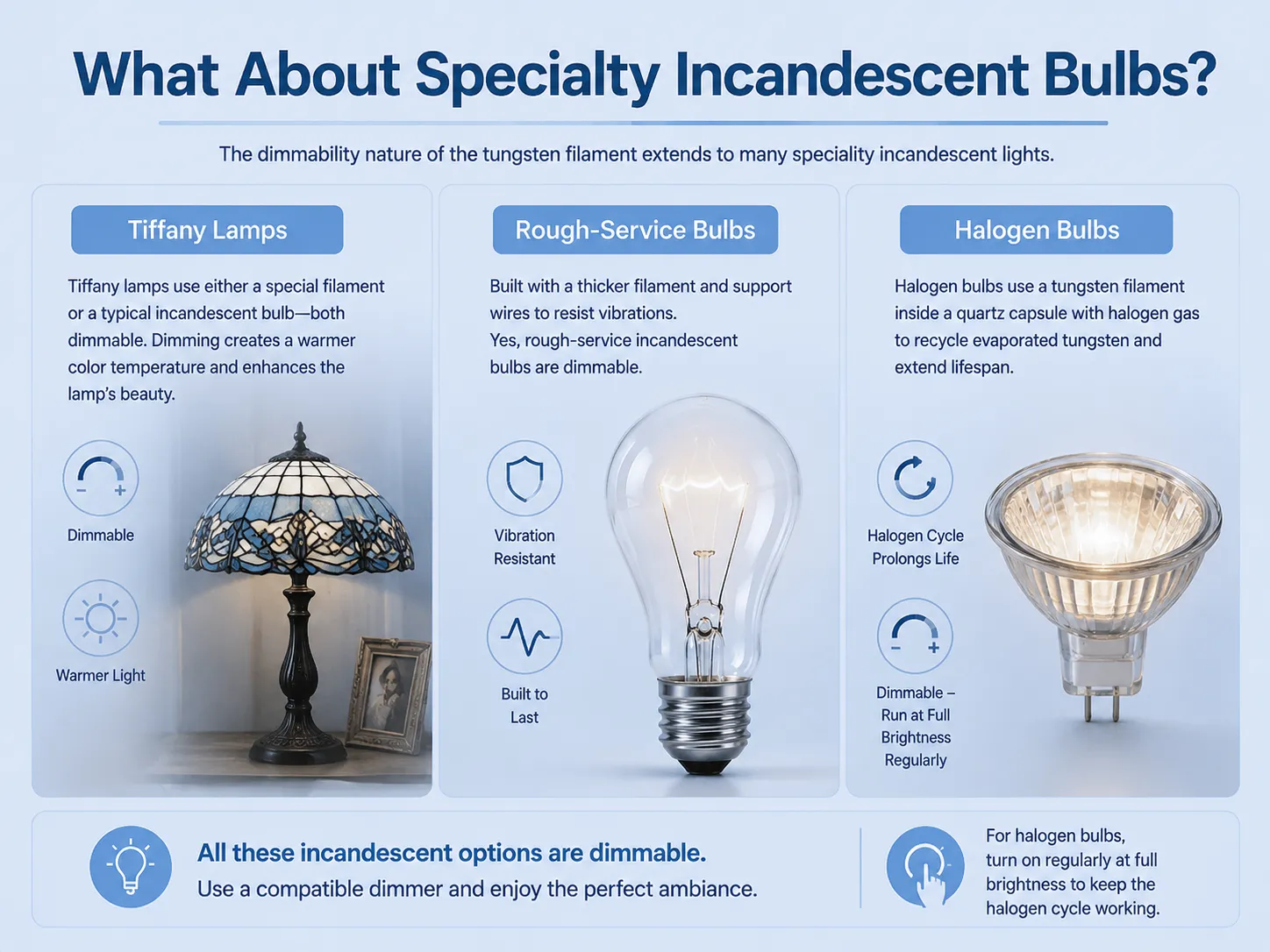 What About Specialty Incandescent Bulbs