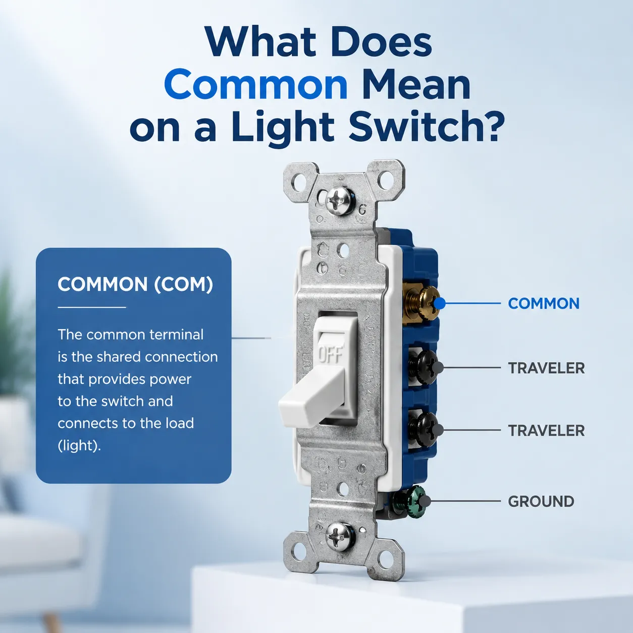 What Does Common Mean on a Light Switch