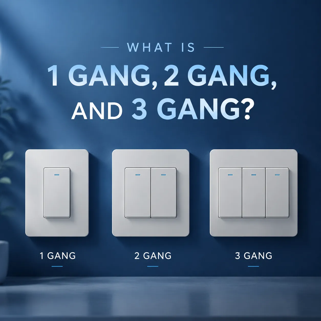 What Is 1 Gang, 2 Gang, and 3 Gang